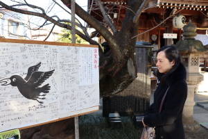 天沼熊野神社 5