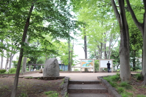 松渓公園3