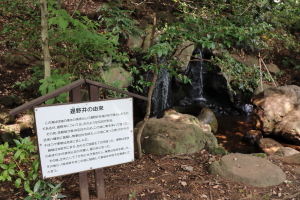 善福寺公園5