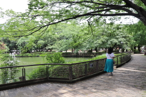 妙正寺公園2
